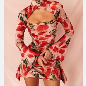 Toira Rose Print Dress